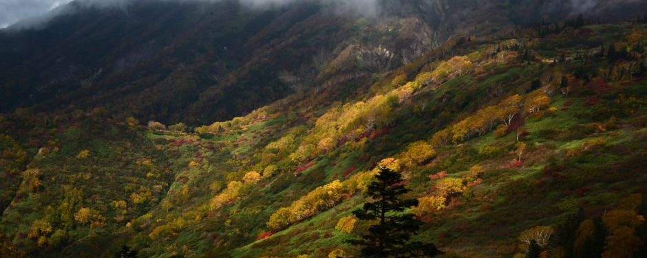 ニセ仙人山籠り